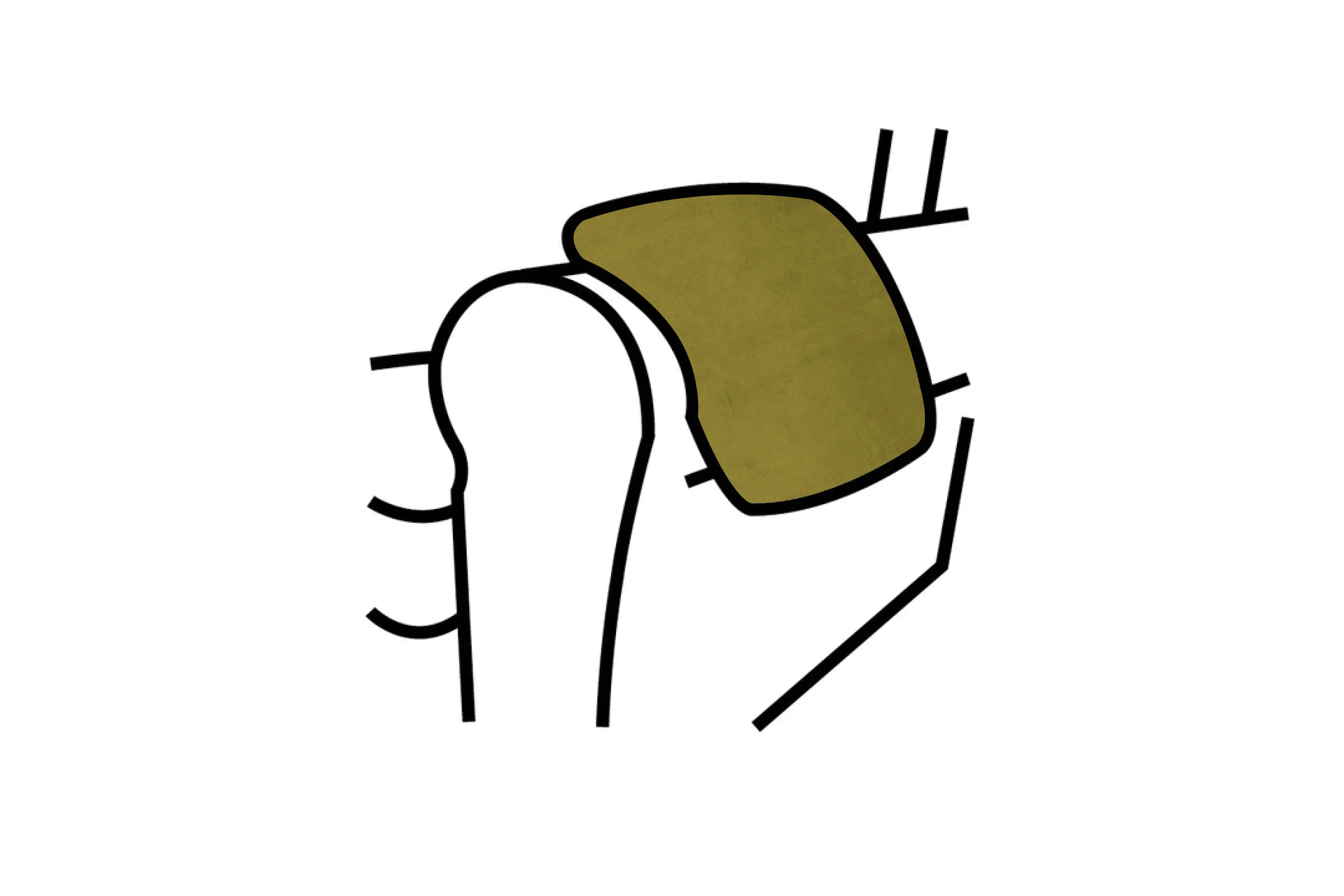 Hampton | Armpads (pair) | Opulence Olive Green